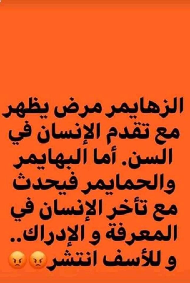 نكت جزائرية مضحكة 2019