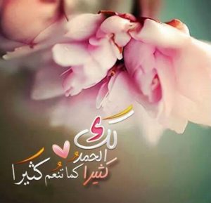 صور للورود