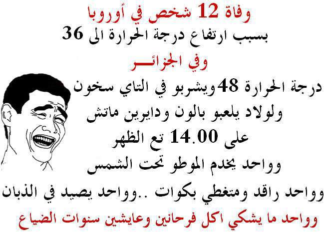 نكت جزائرية مضحكة عن الحب
