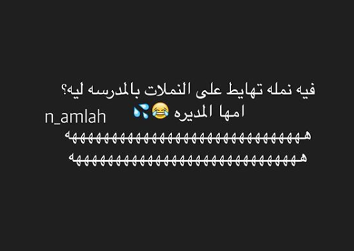 نكت النملة والصرصور