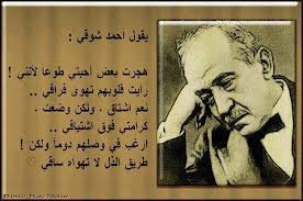 ابيات شعر عن الوطن لأحمد شوقي