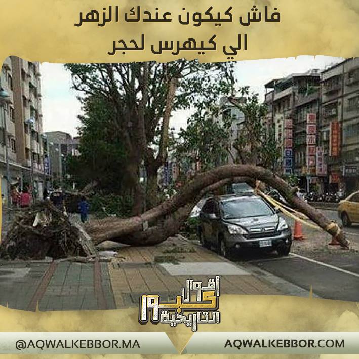 نكت مغربية بالدارجة 2019