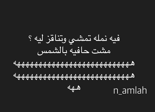 نكت نمل 2019
