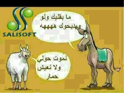 نكت مغربية 2019