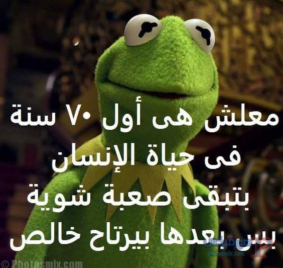 نكت مصرية مضحكة موت