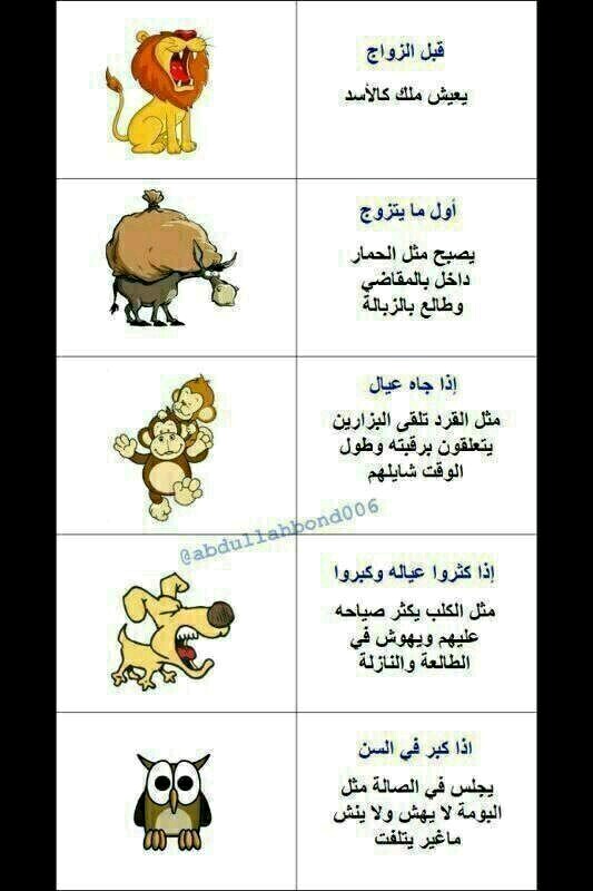 نكت مضحكة 2019