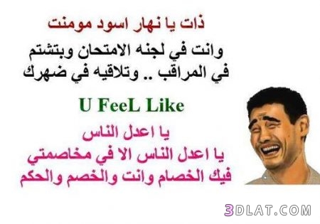 نكت مضحكة محششين