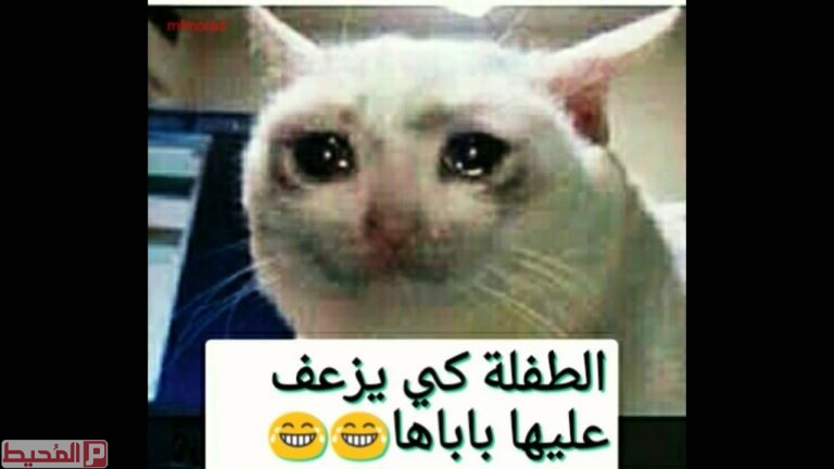 اقوى الصور المضحكة في العالم3