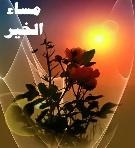 بوستات مساء الخير بالصور3