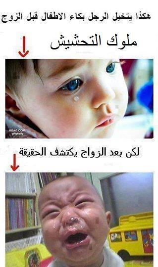 نكت نكت
