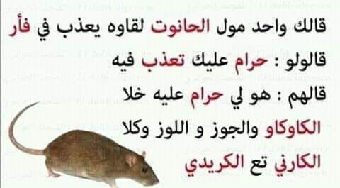 نكت جزائرية مضحكة جدا 2019