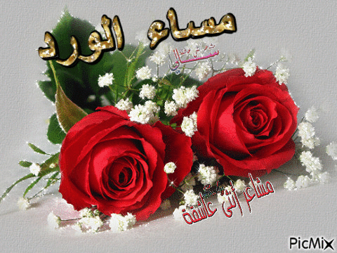 اجمل الصور مكتوب عليها مساء الخير متحركة 1
