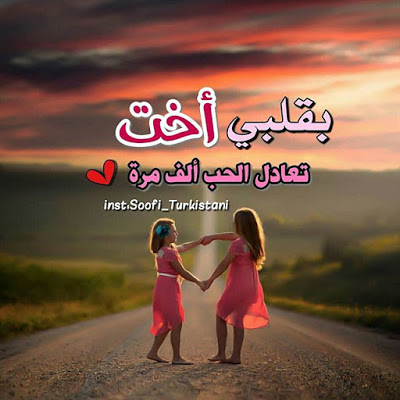 اجمل الصور عن حب الاخت 2