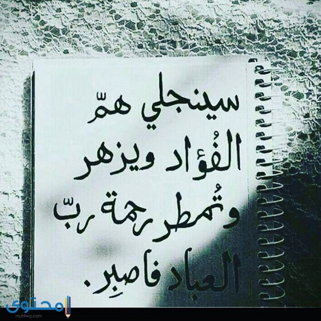 اجمل الحكم عن الصبر بالصور 2
