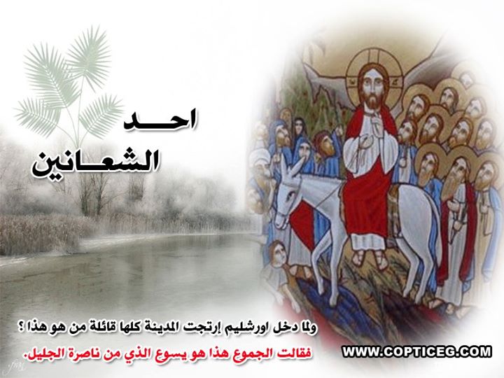 صور احد الشعانين 2