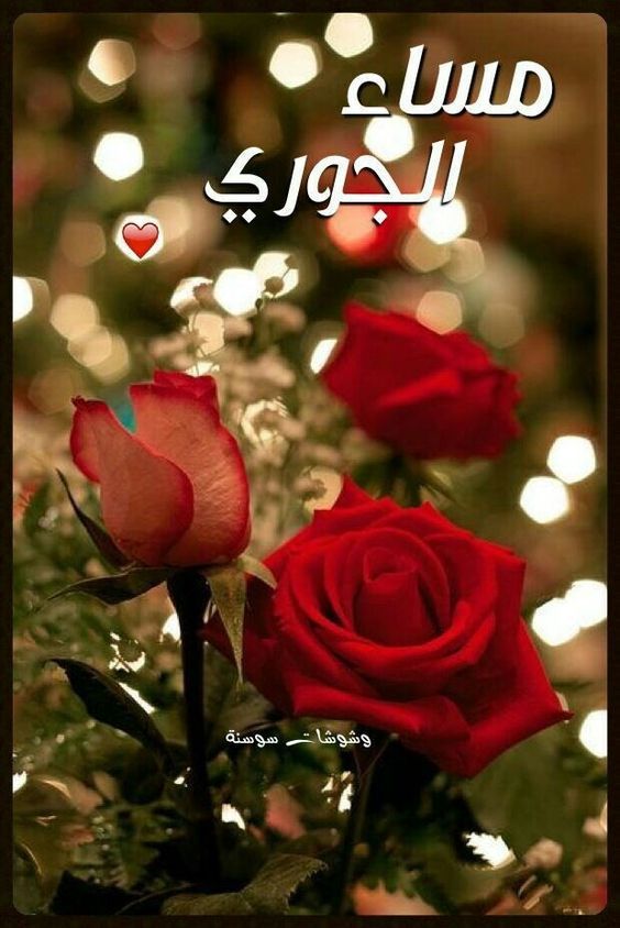اجمل الصور مساء الخير فيس بوك 2