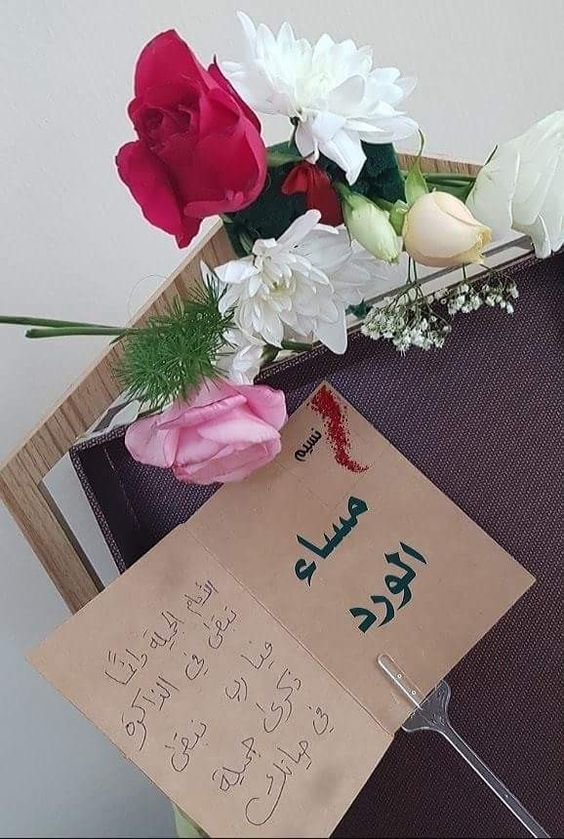 خلفيات مساء الخير 2