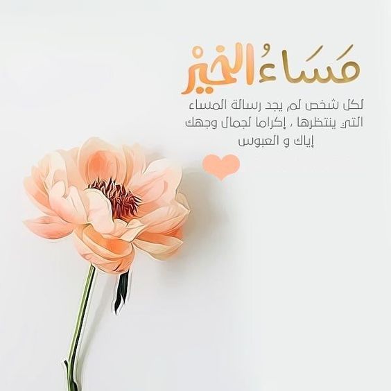 أجمل كلام مساء الخير 3