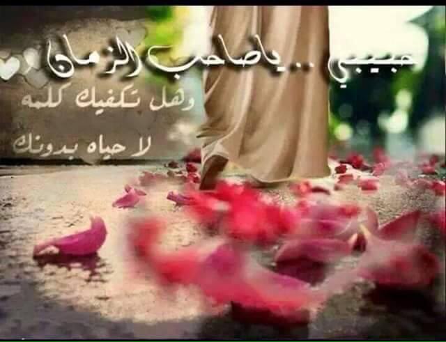 خواطر عن انتظار الإمام المهدي 2