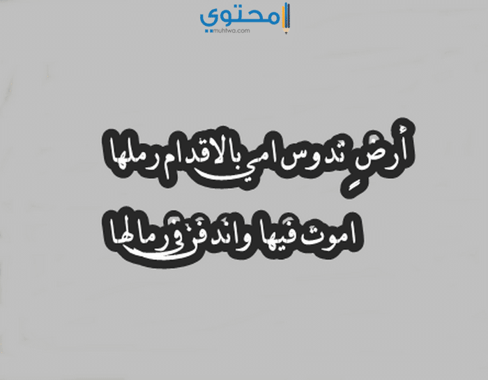 كلمات عن الأم بالعاميه