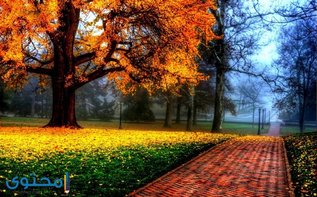 صور طبيعيه5