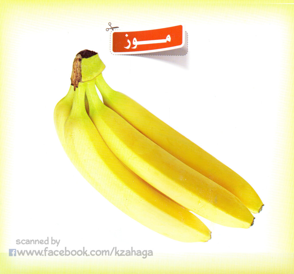 صور فواكه للتعليم الاطفال 2