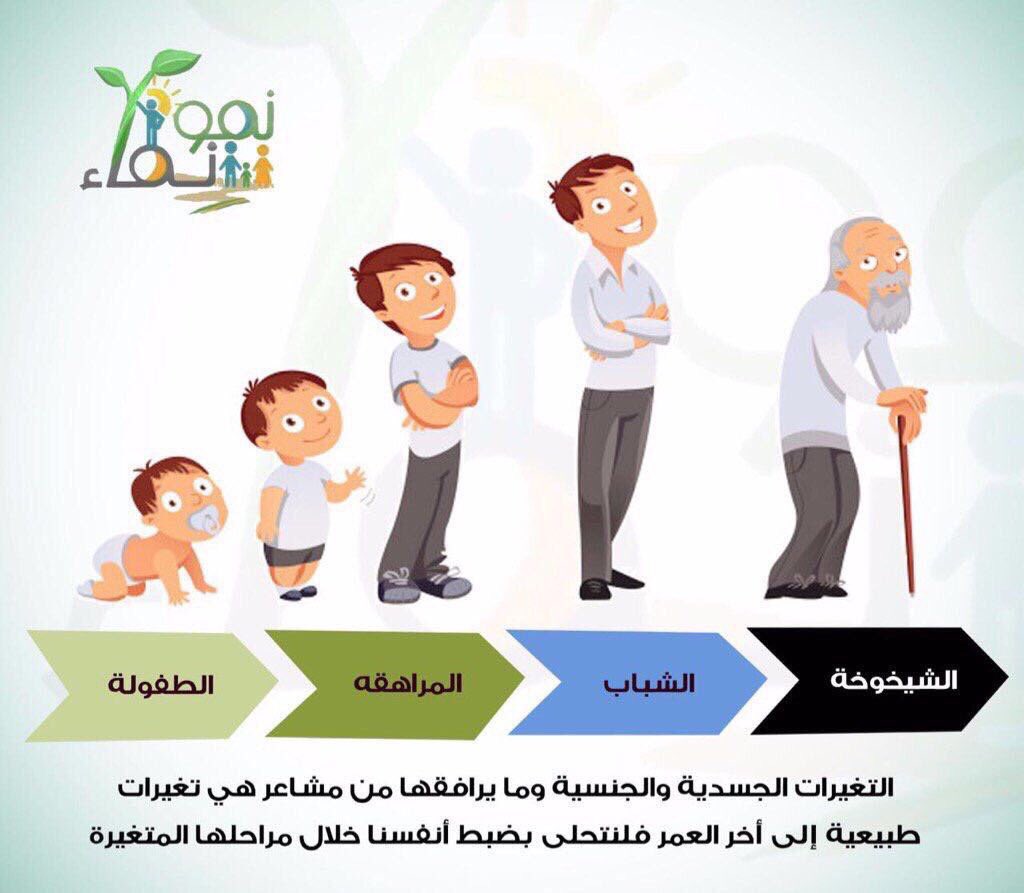 اسماء مراحل نمو الإنسان 2