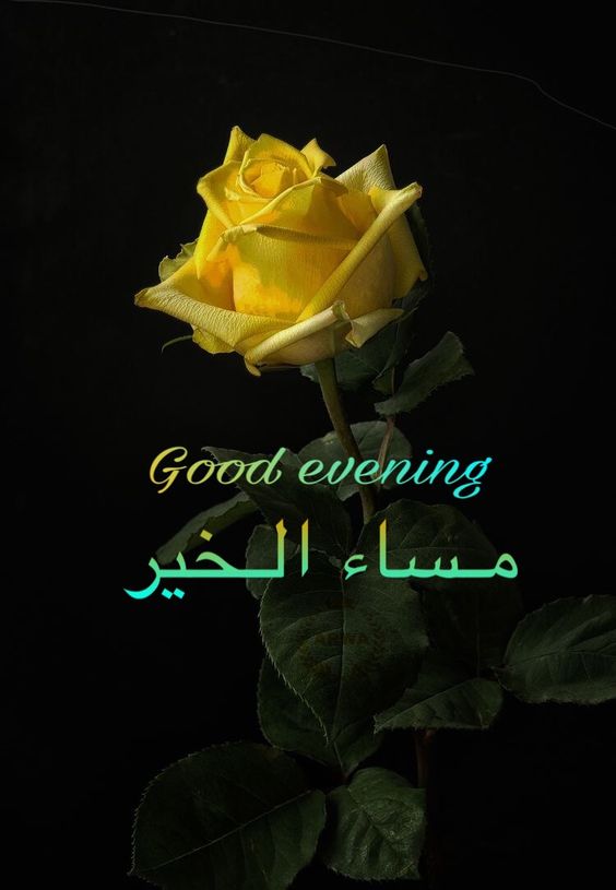 بوستات مساء الخير بالصور5