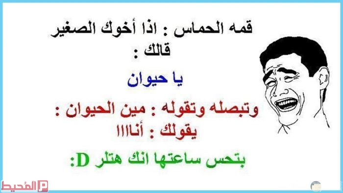 نكت مضحكة جدا عن المحششين