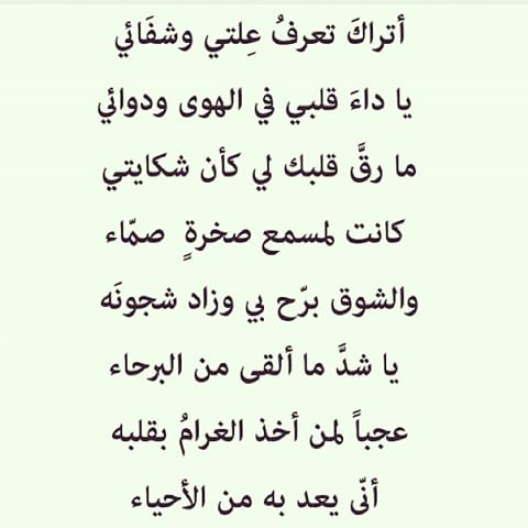 المتنبي غزل فاحش