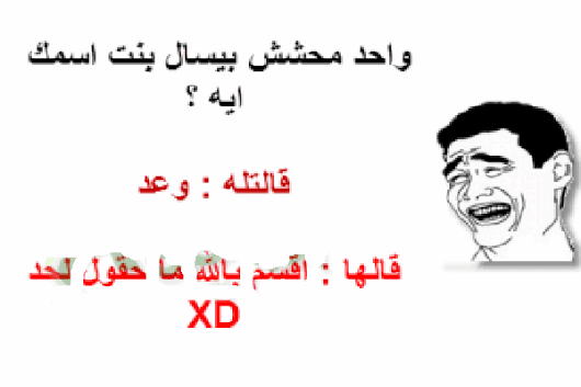 نكت محششين سعوديين