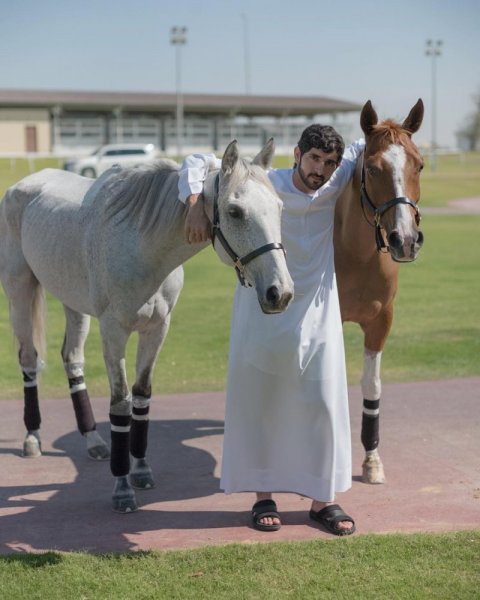 صور فزاع 22