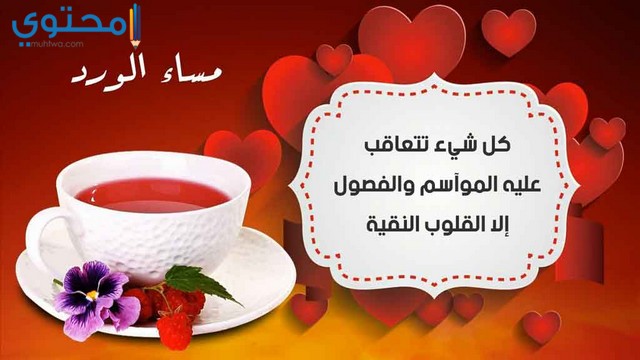 خلفيات مساء الخير2