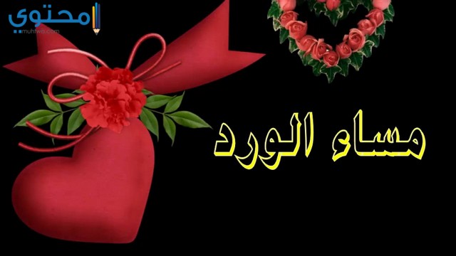 خلفيات مساء الخير3