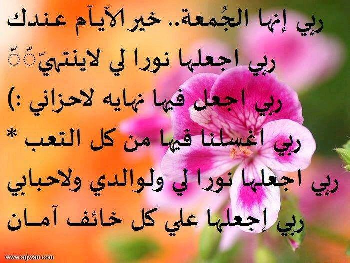 صوردينية حلوة5
