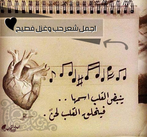 شعر عن الحب قصير تويتر