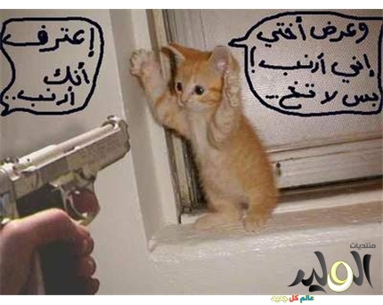 اجمل الصور المضحكة في العالم صور مضحكة جدا1