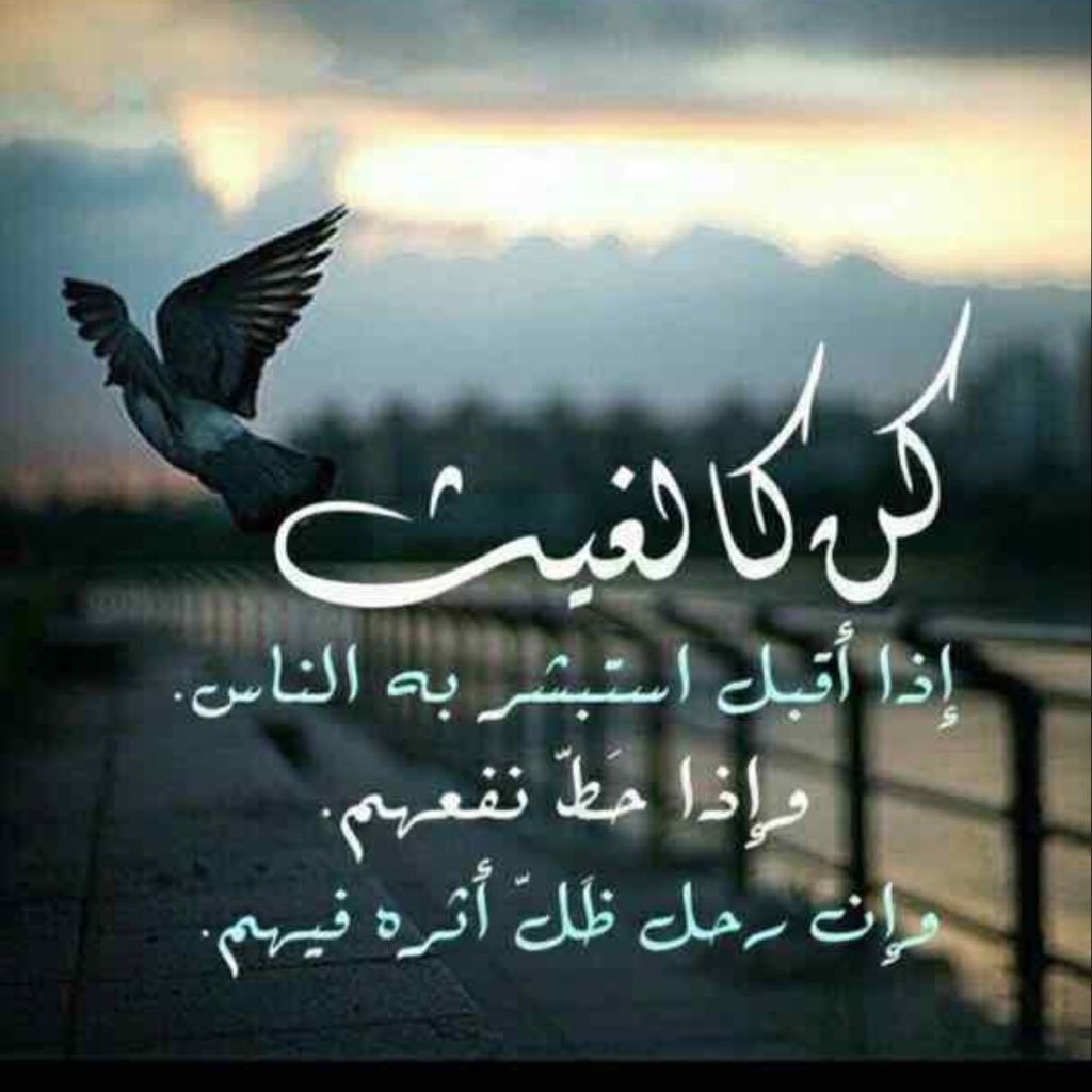 رسالة الى حبيبي البعيد ٢