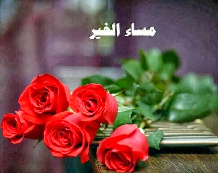 بطاقات مساء الخير روعة 4