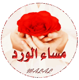 اجمل الصور مكتوب عليها مساء الخير متحركة 3
