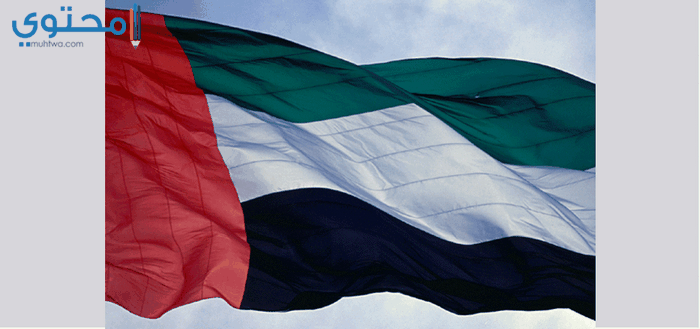 خلفيات الإمارات 4
