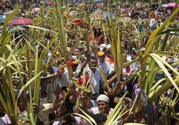 لماذا يستخدم سعف النخيل في أحد الشعانين 3