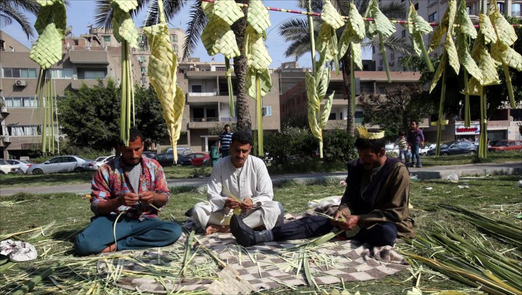 معلومات عن السعف 3
