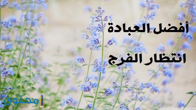 خلفيات عن الصبر والفرج 3
