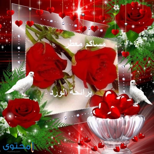 بوستات مساء الخير بالصور 3