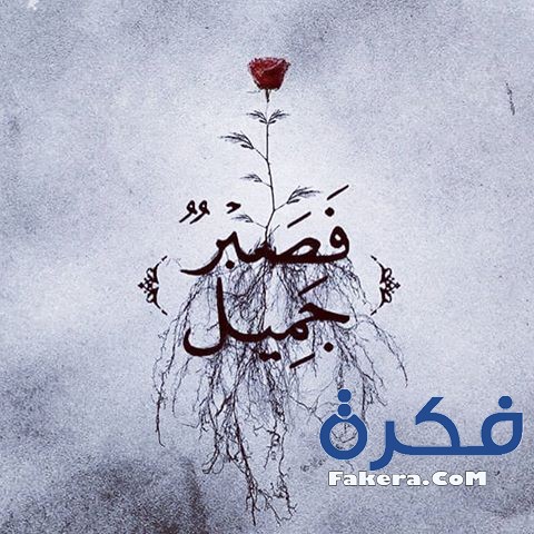خلفيات صبر جميل والله المستعان 3