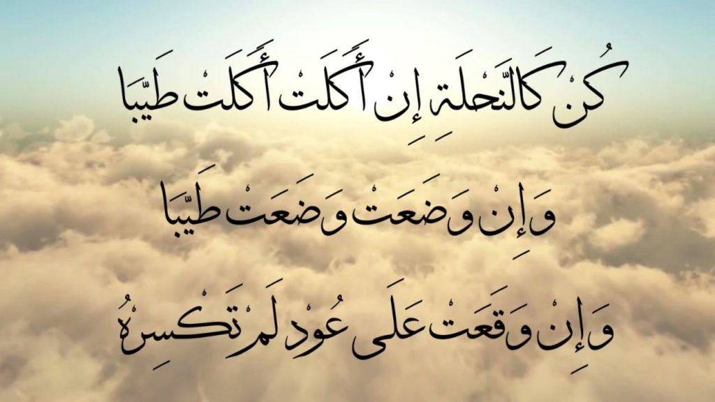 كلام عن الصبر على البلاء 3