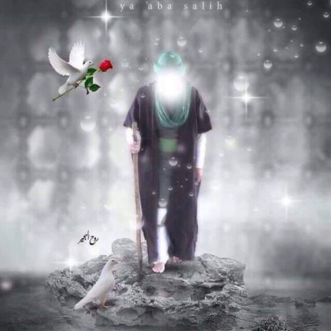 صورالامام المهدي عج 3
