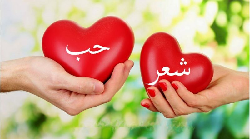 شعر عن الحب قصير