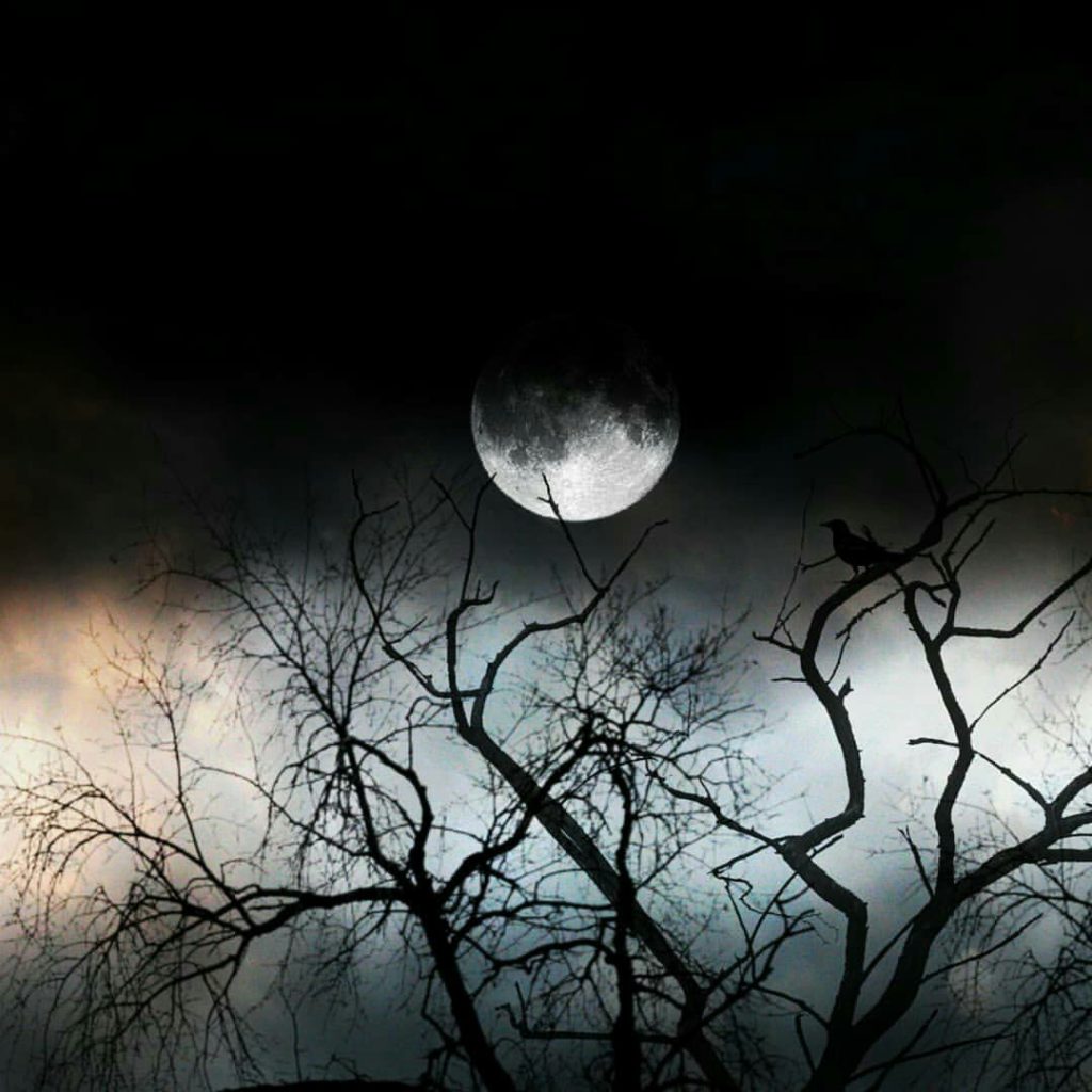 صور للقمر3
